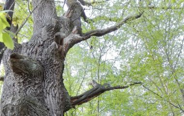 Наш поход «Майовка» 30.04-02.05.2017