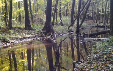 Одиночный выход на р. Песковка. Октябрь 2013