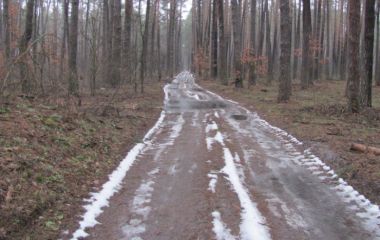 ПВД. Корчи. Февраль 2014