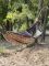 Hammock Piligrim Multicam with mosquito net